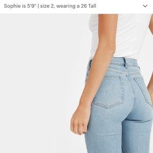 Everlane High Rise Skinny Jean - Light Blue sz 26 Ankle
